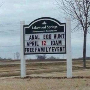 egg hunt